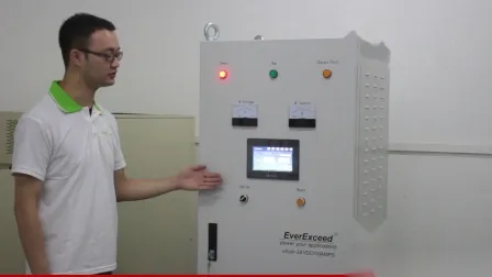 Everexceed 12V5a Alta Frecuencia
