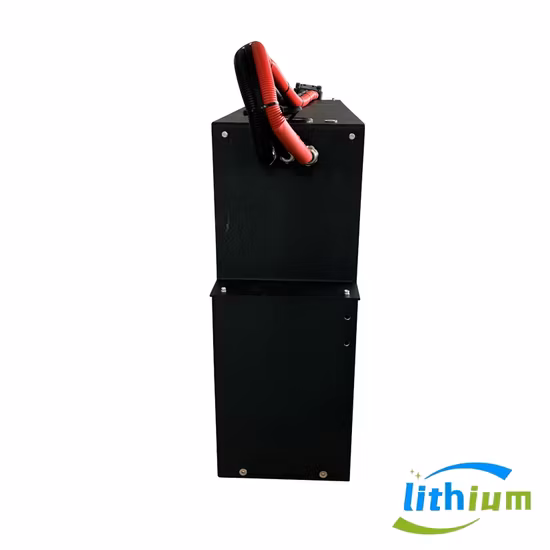 Batería de litio de 12V 24V 100ah 200ah 300ah 50ah 12V/24V LiFePO4 Batería para precio de fábrica solar